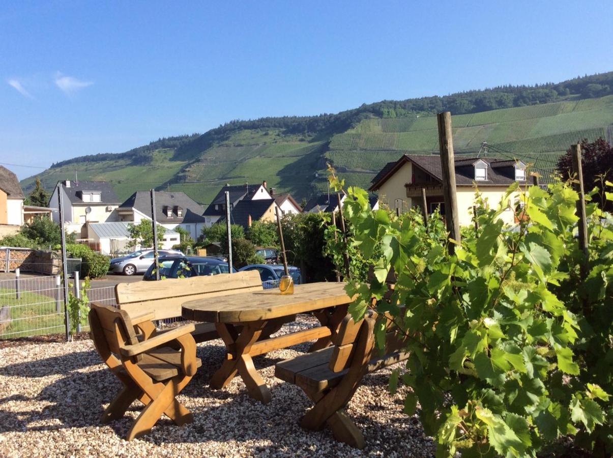 Hotel Ferien-Wein-Gut Keifer Bernkastel-Kues Exteriér fotografie