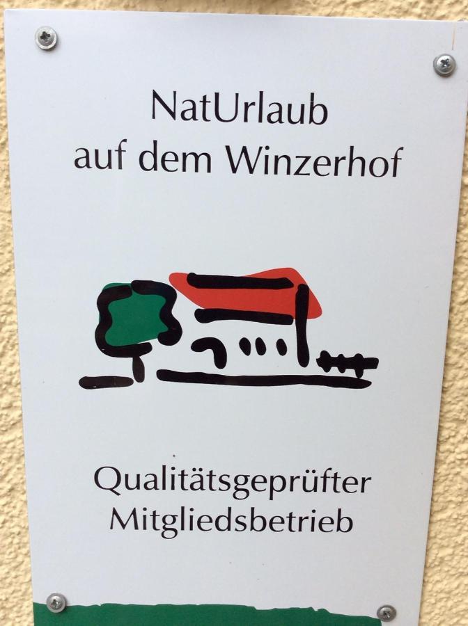 Hotel Ferien-Wein-Gut Keifer Bernkastel-Kues Exteriér fotografie